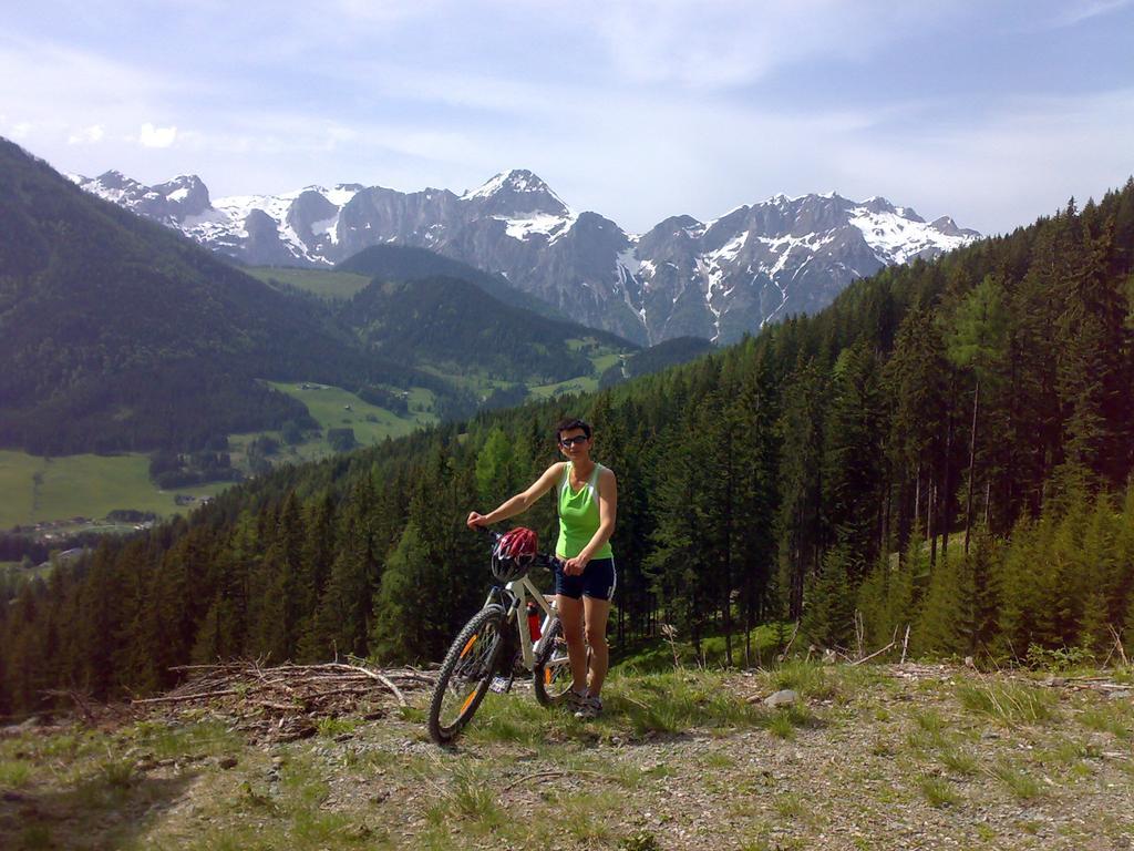 Haus Dachstein Schnitzer *